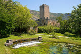 "Garden of Ninfa" Plate